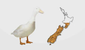 jQuery动态图片加载代码